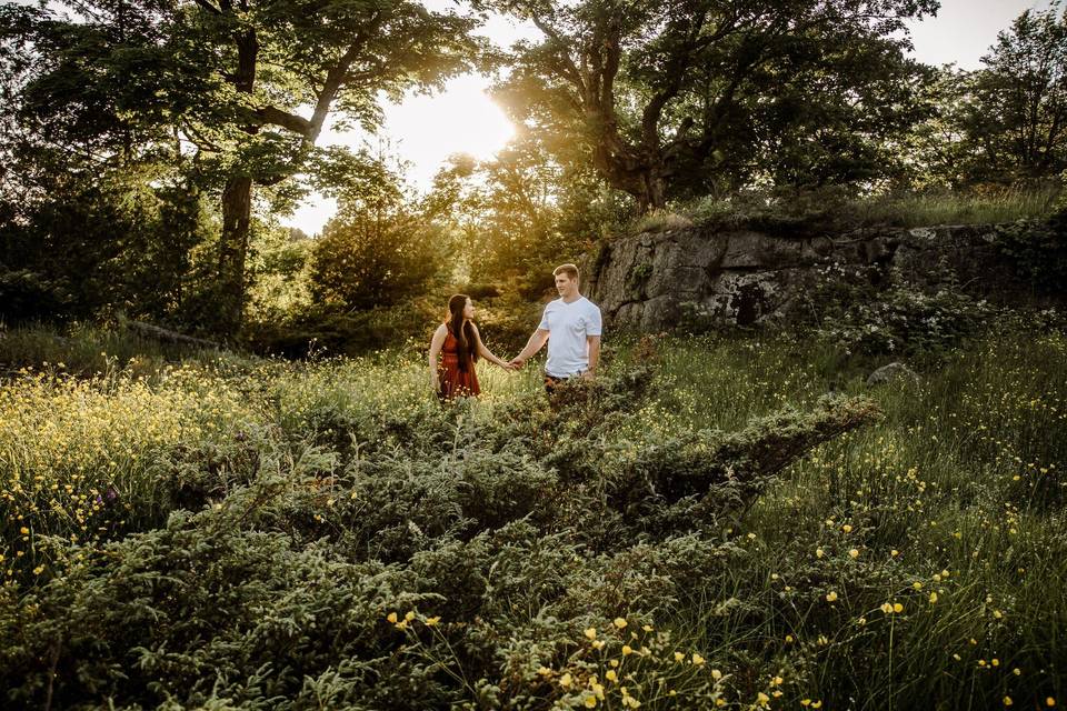 Engagement in Muskoka