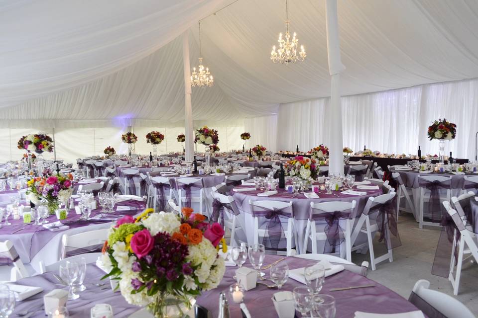 Beautiful tented reception