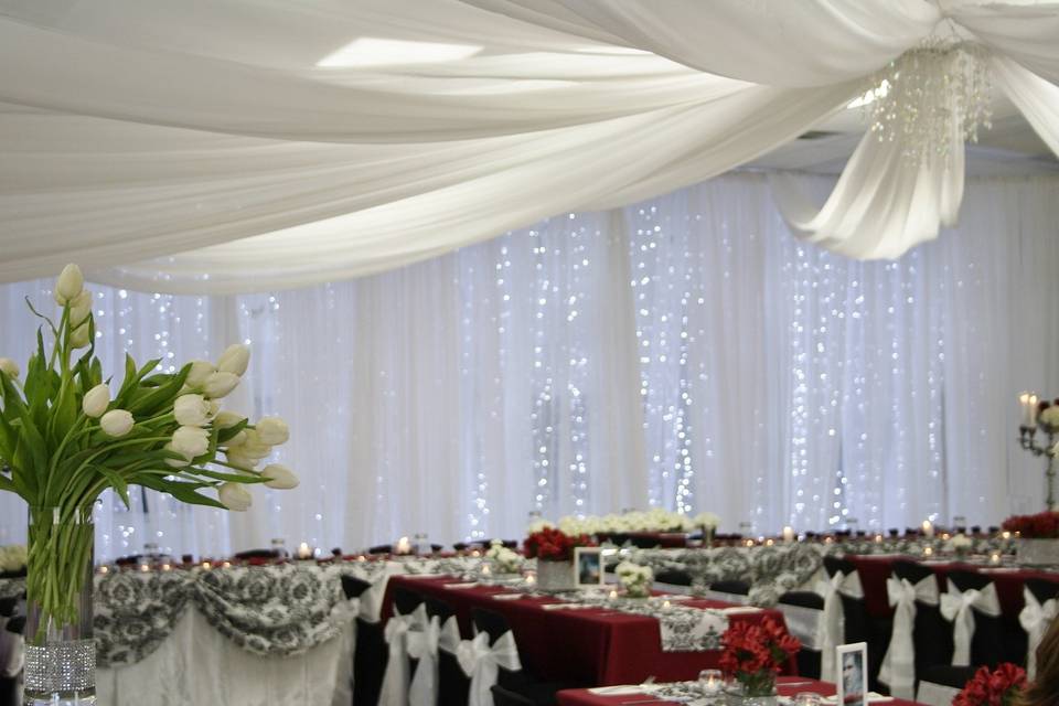 Ceiling drape & tulip elegance