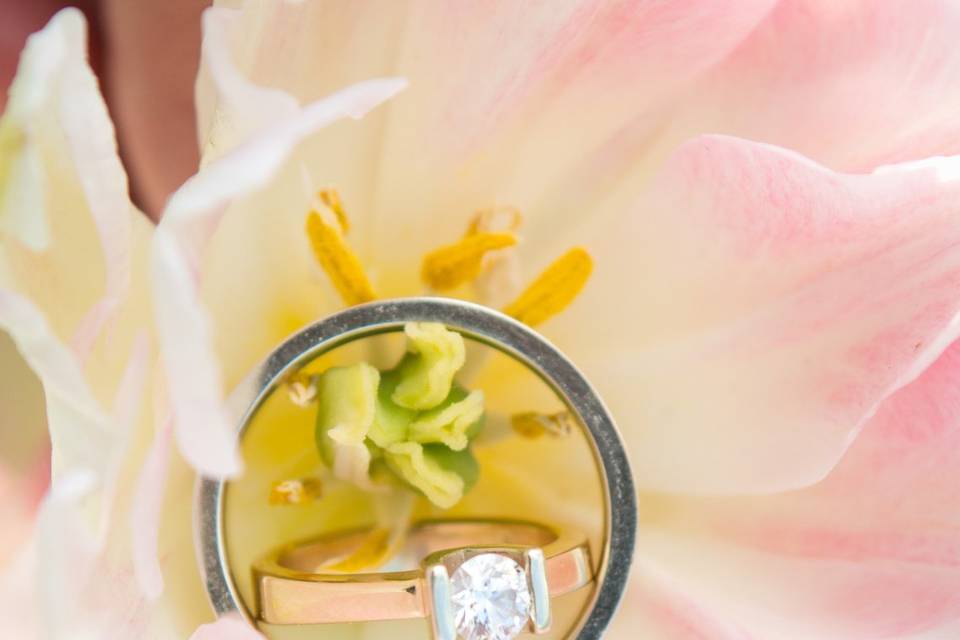 Ring Detail Photography