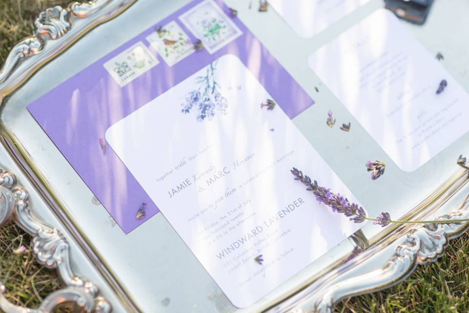 Lavender Elopement