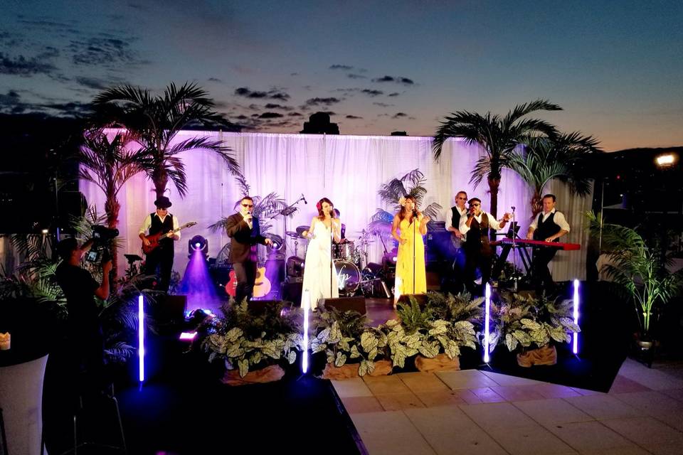 Wedding Party/Singer on Stage