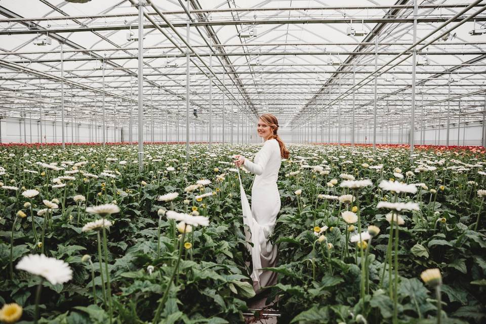 Greenhouse Portraits, Ontario