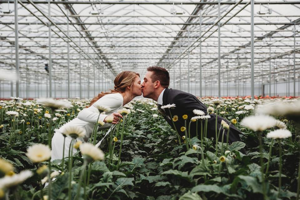 Greenhouse Portraits, Ontario