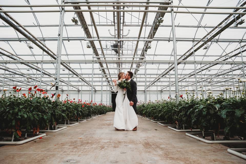 Greenhouse Portraits, Ontario