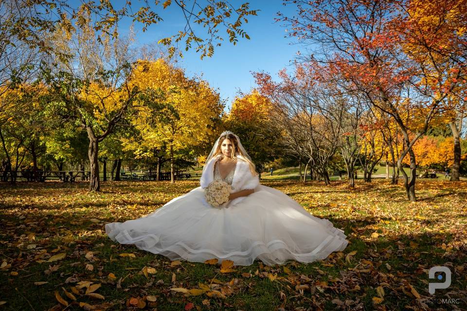 Autumn bridal portrait