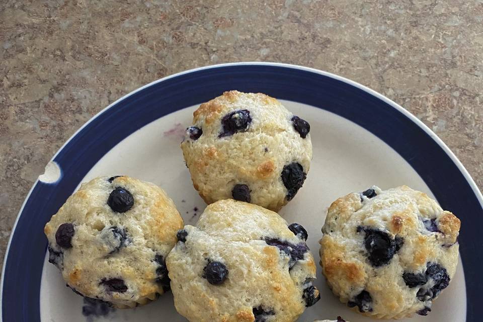 Low-calorie blueberry muffin