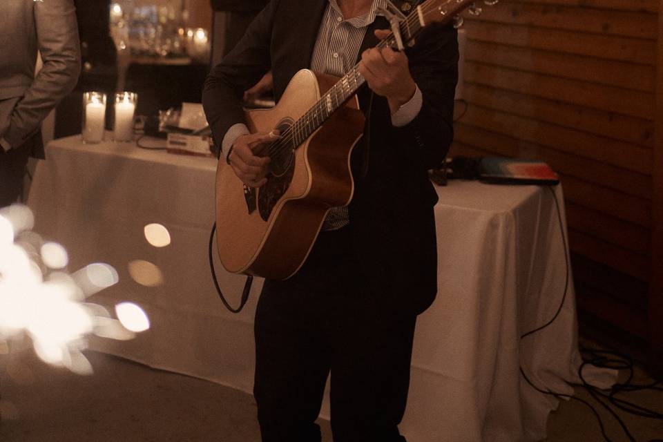 Lenny Pallerstein Guitar