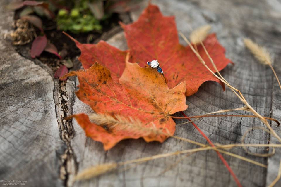 Fall Engagement