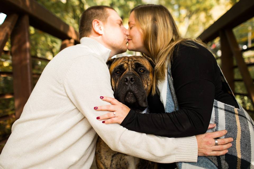 Fall Engagement