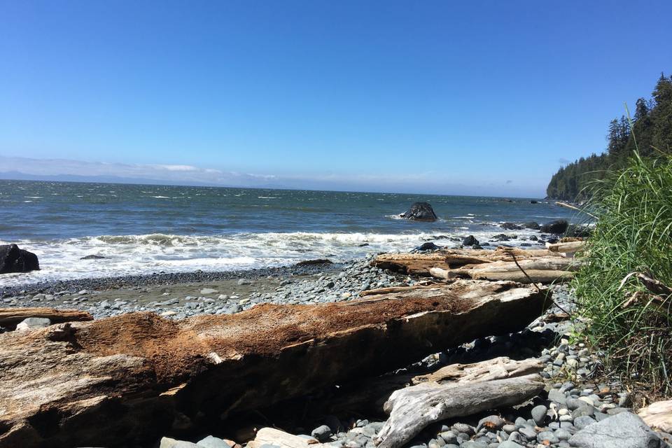 Welcoming in the waves