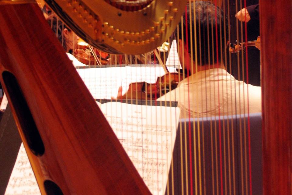 Kristen Theriault, Harpist