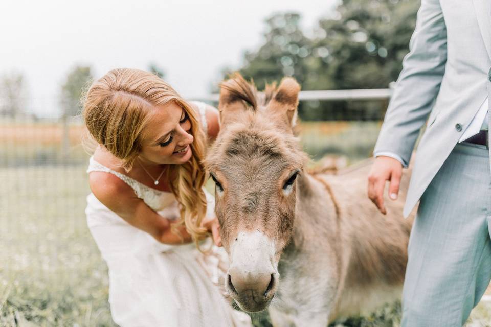 Intimate Farm Wedding, Fergus