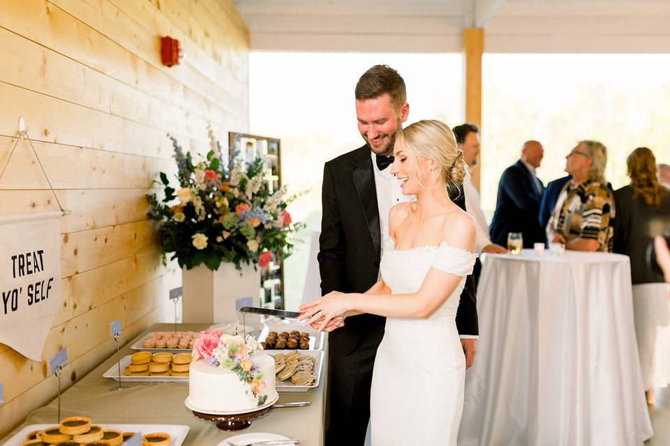 Cake Cutting