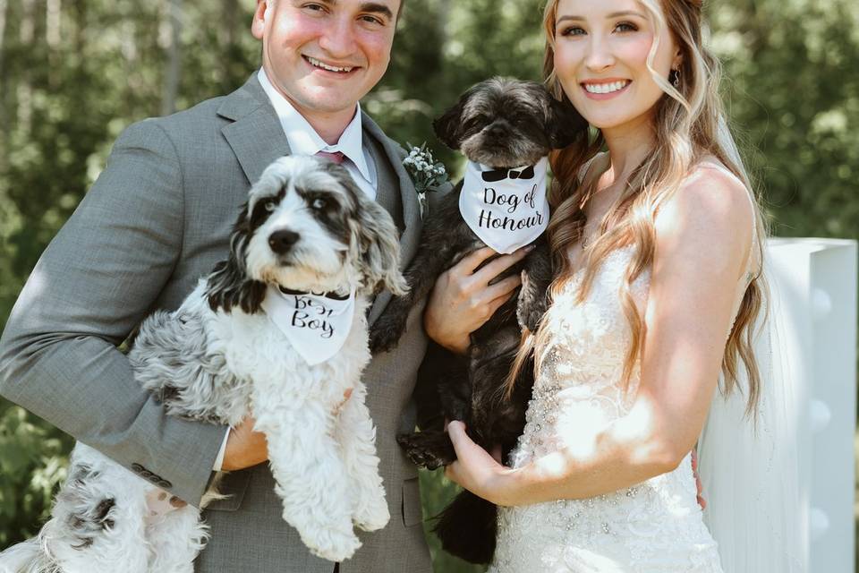 Wedding Dogs