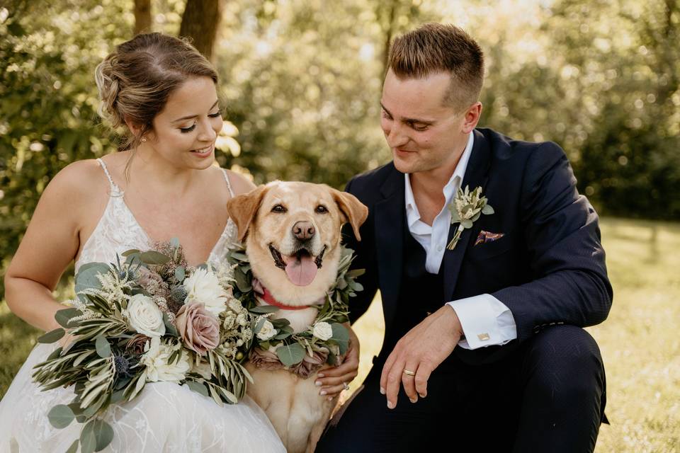 Wedding Dog!