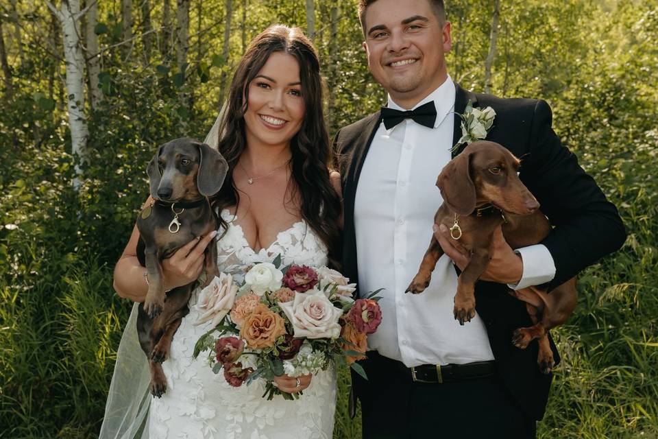 Wedding Dogs