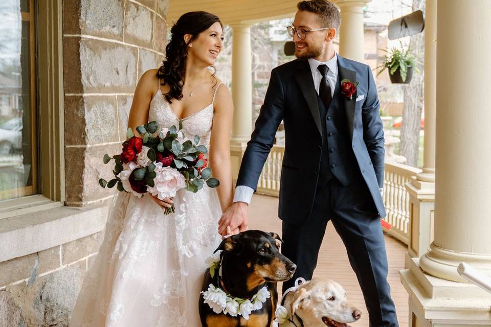 Wedding Dogs