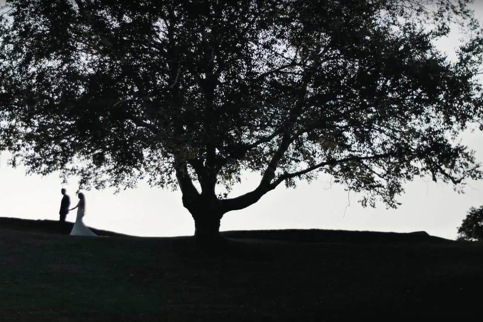 Penryn Park silhouette