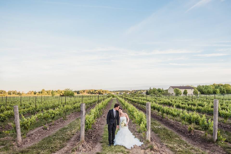 Niagara Vineyard Wedding