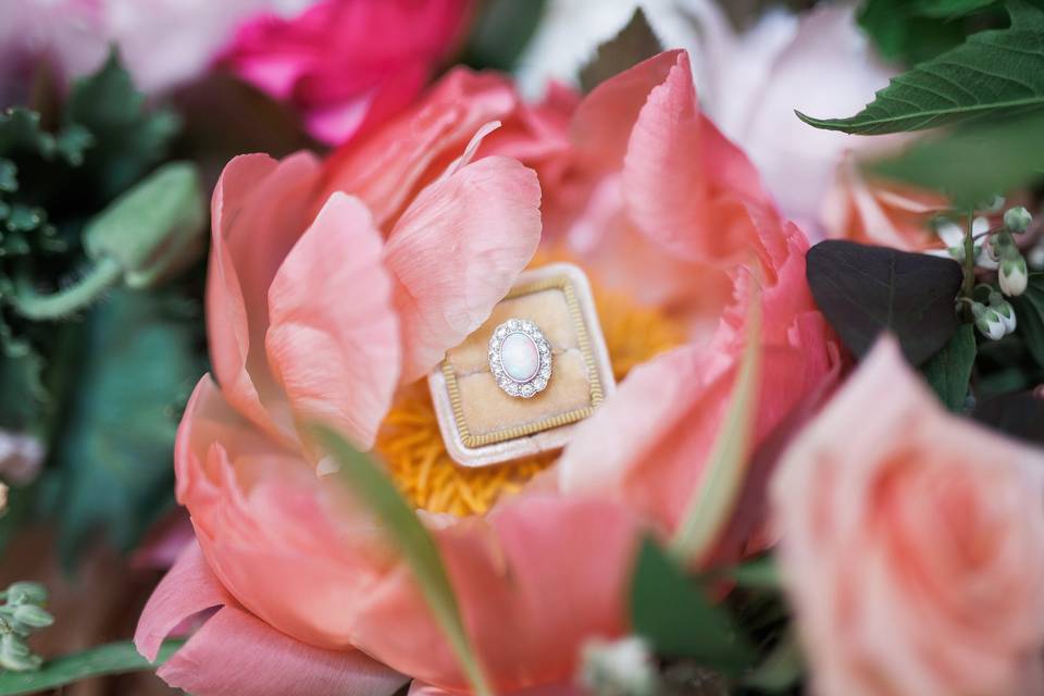 Ring shot with peonies