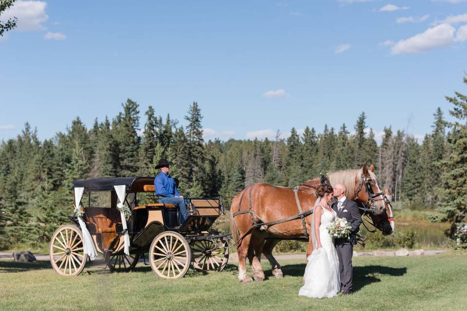 A Ranch Wedding