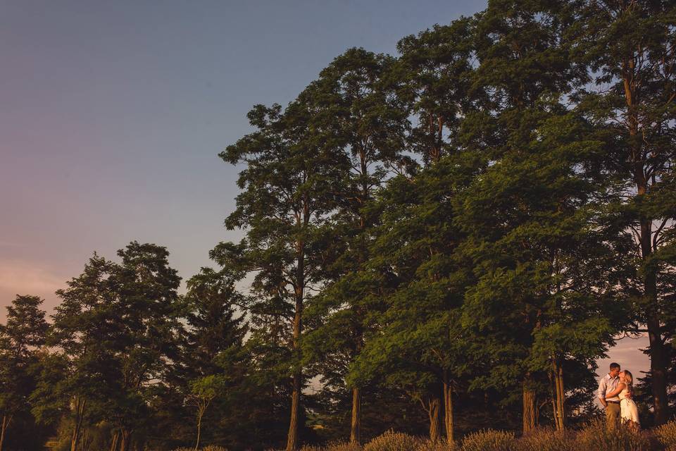 Lavender Farm engagement