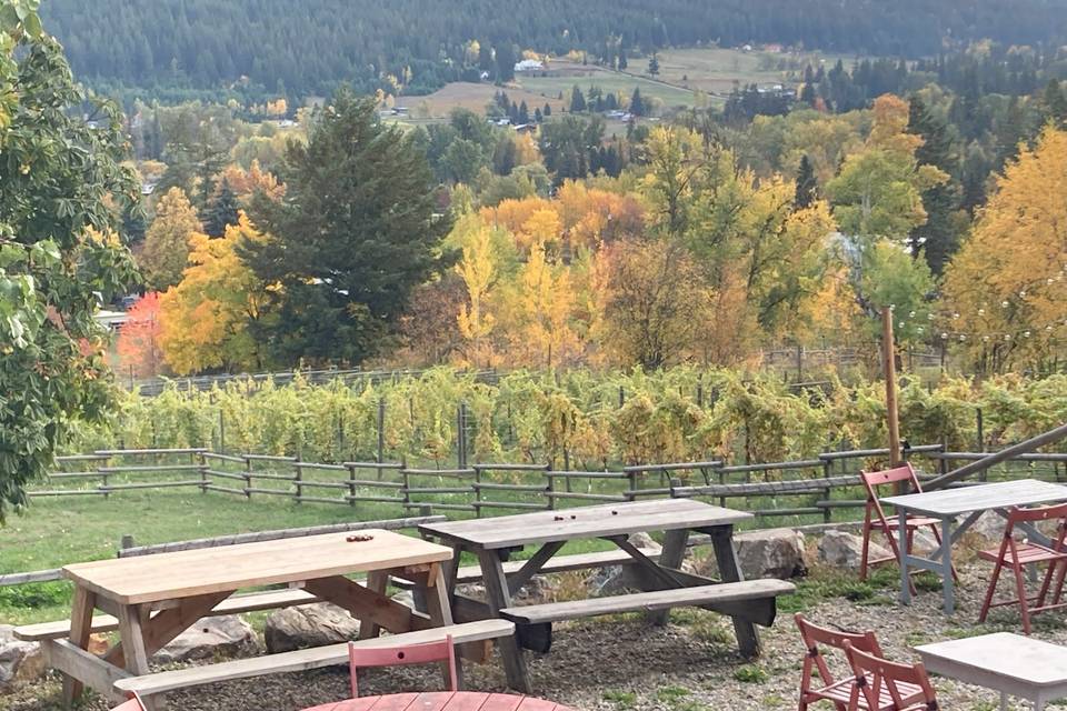 Autumn on the patio