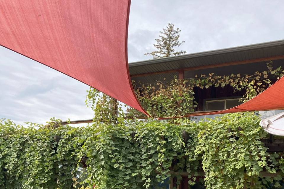 Pergola and lounge doorway