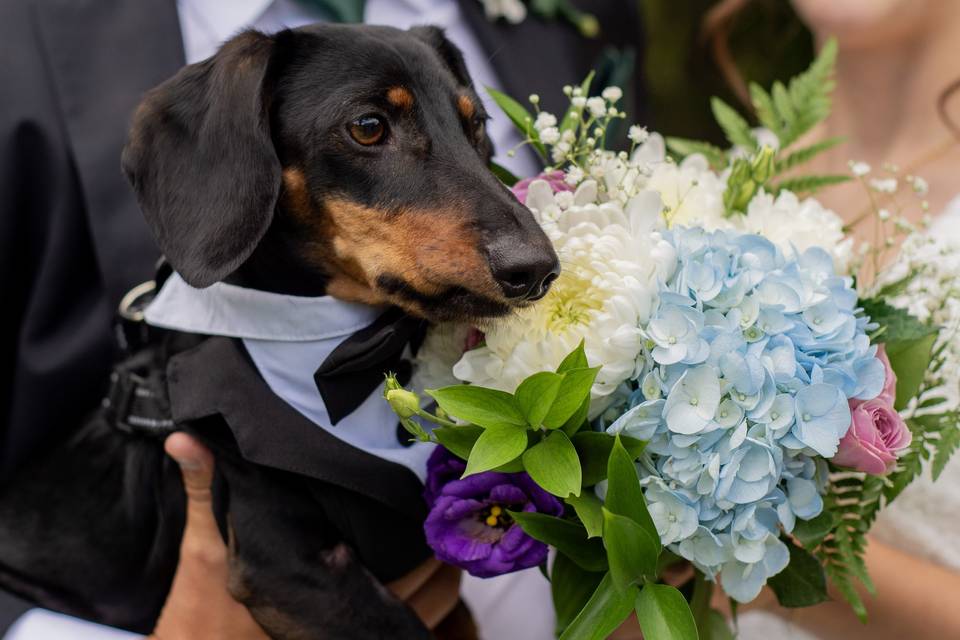 Intimate Wedding