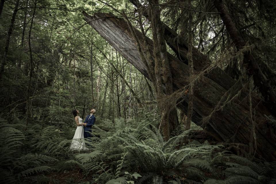 Post Ceremony, Sitka Farms