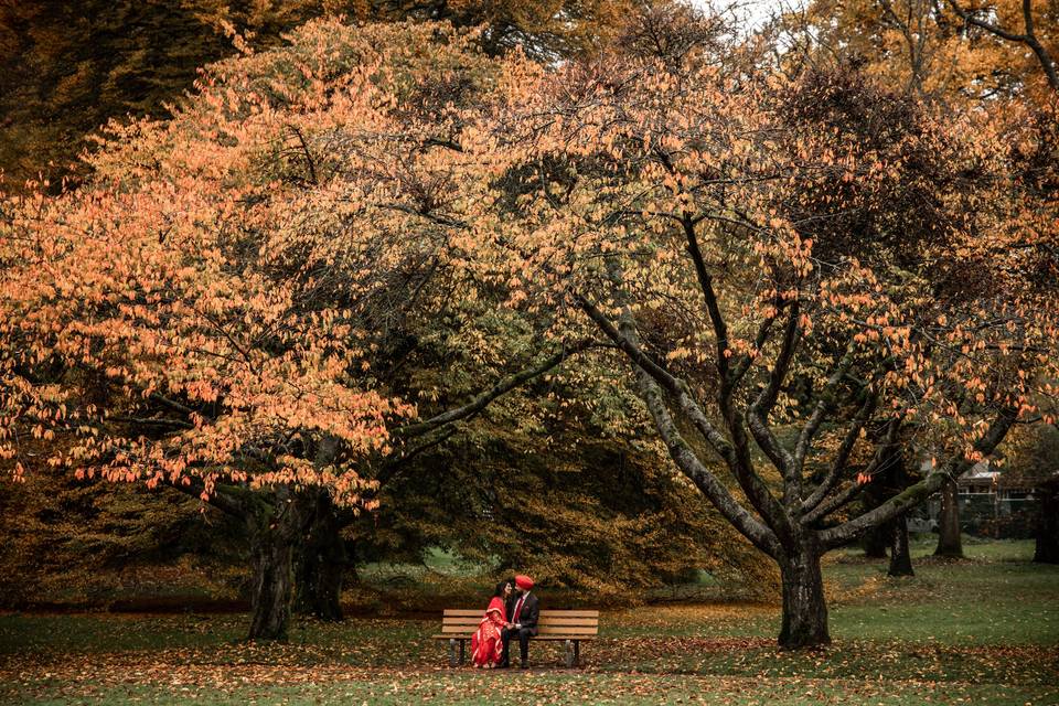 Engagement, Stanley Park