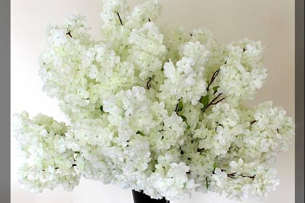 Cherry Blossom on black vase