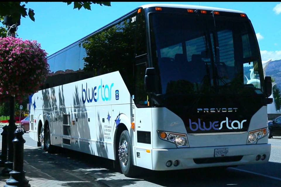BlueStar Coachlines