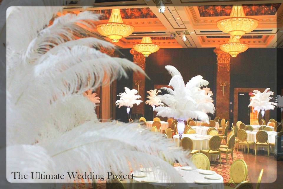 Beautiful Ostrich Feathers