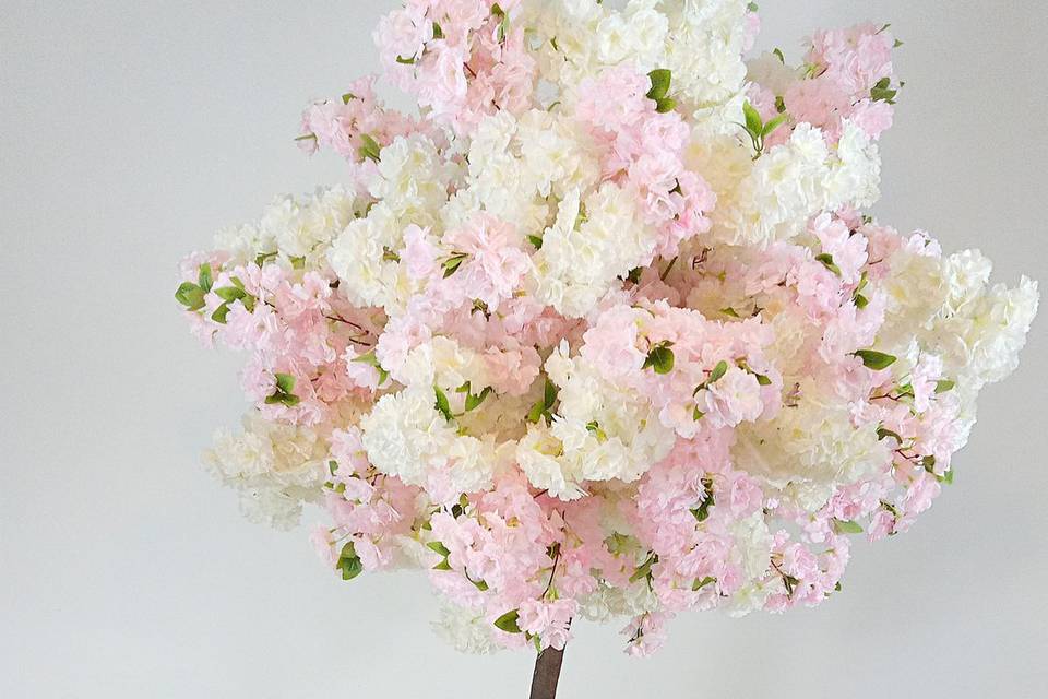 Pink and white cherry blossom