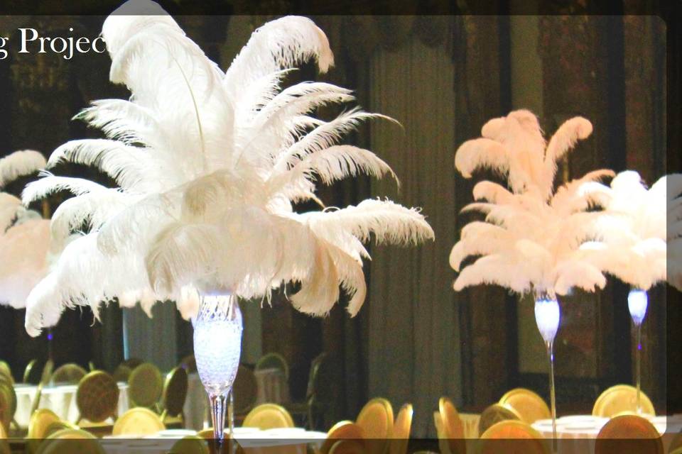 Ostrich feathers tall