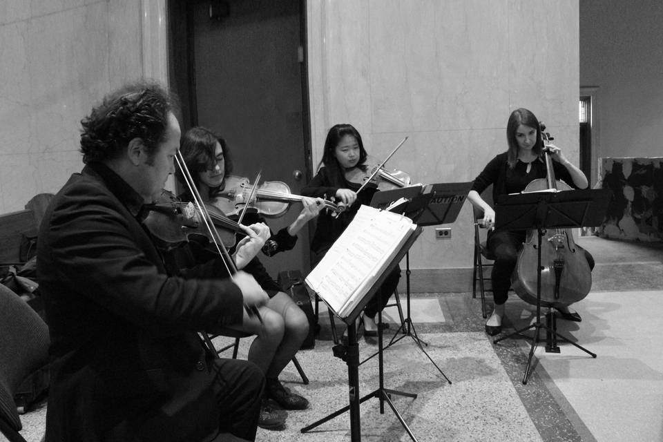 GTA Strings at Massey College