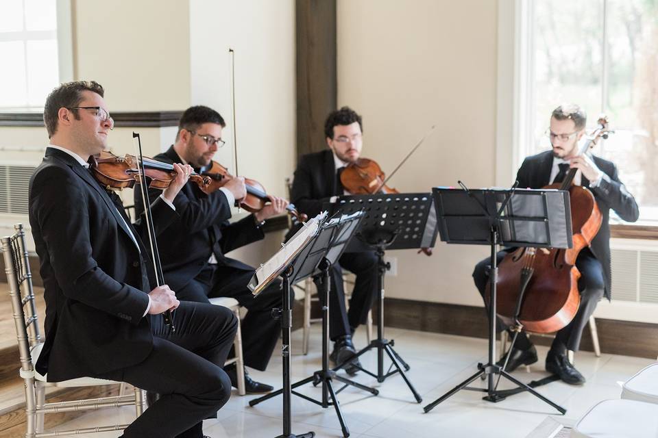 Gta strings at breakfast tv