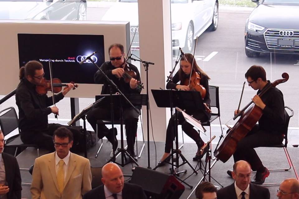 Audi Gala - GTA Strings