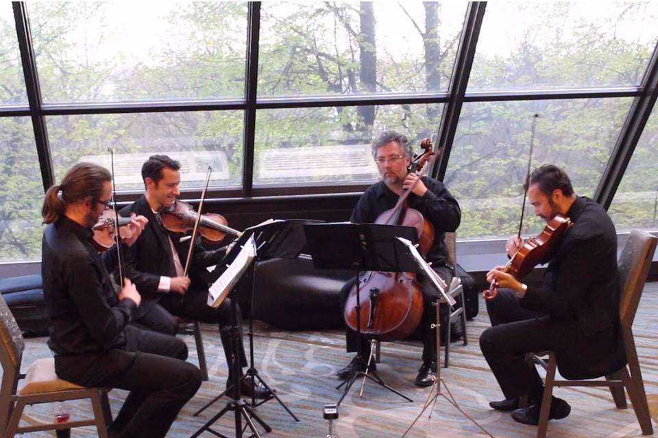 GTA STRINGS - String Quartet