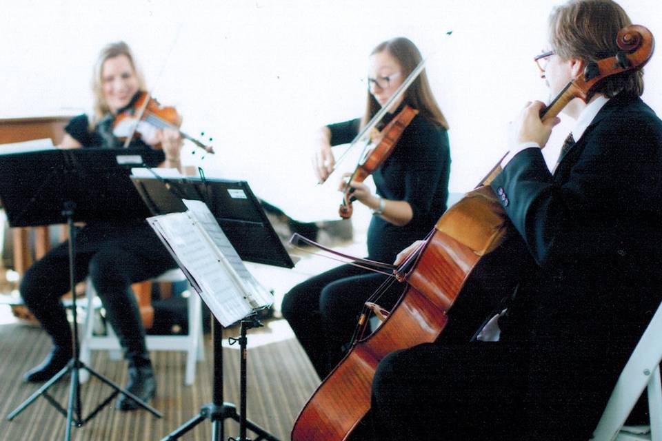 GTA STRINGS - String Quartet