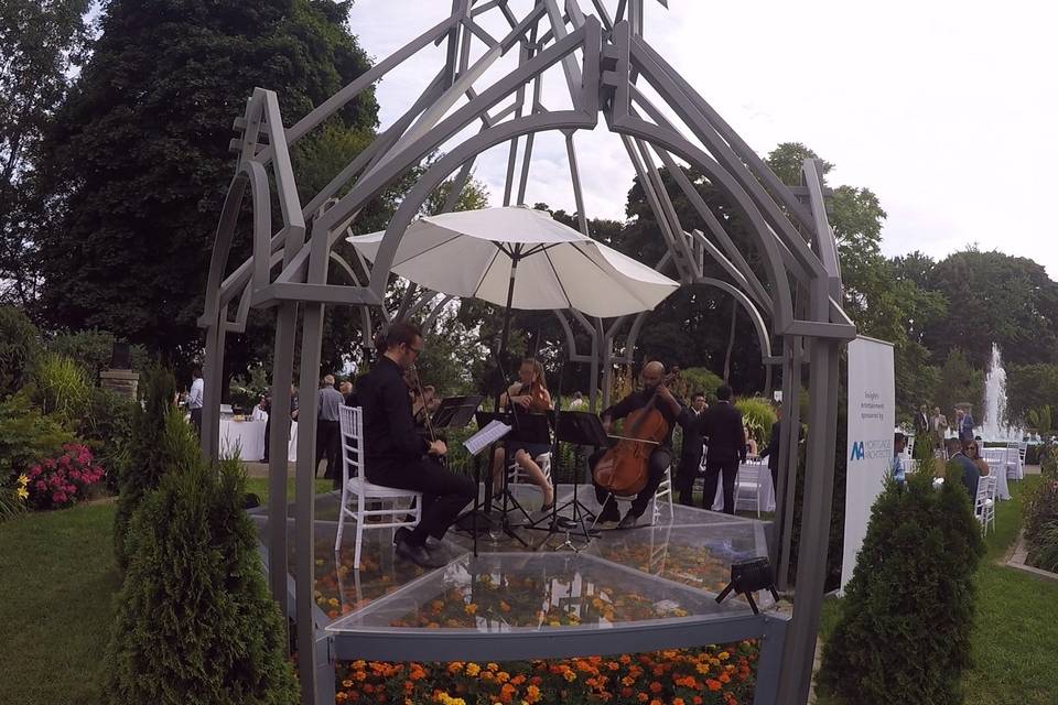 Casa Loma -  GTA Strings