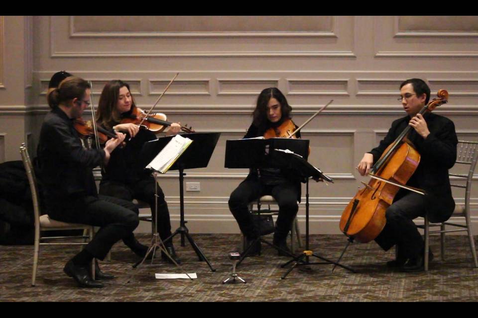 Casa Loma -  GTA Strings