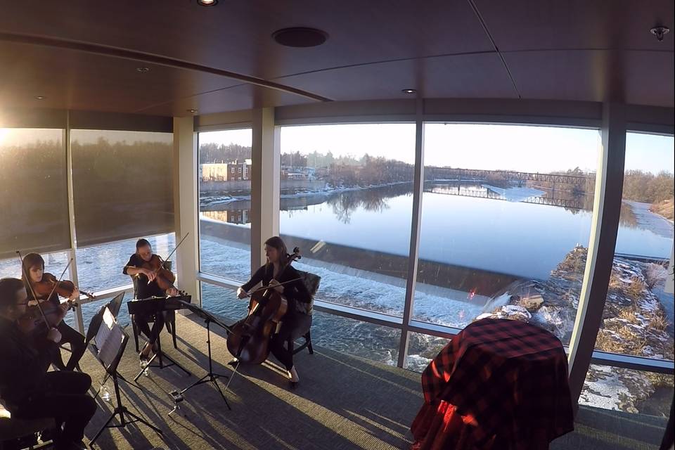 Cambridge Mill - GTA Strings