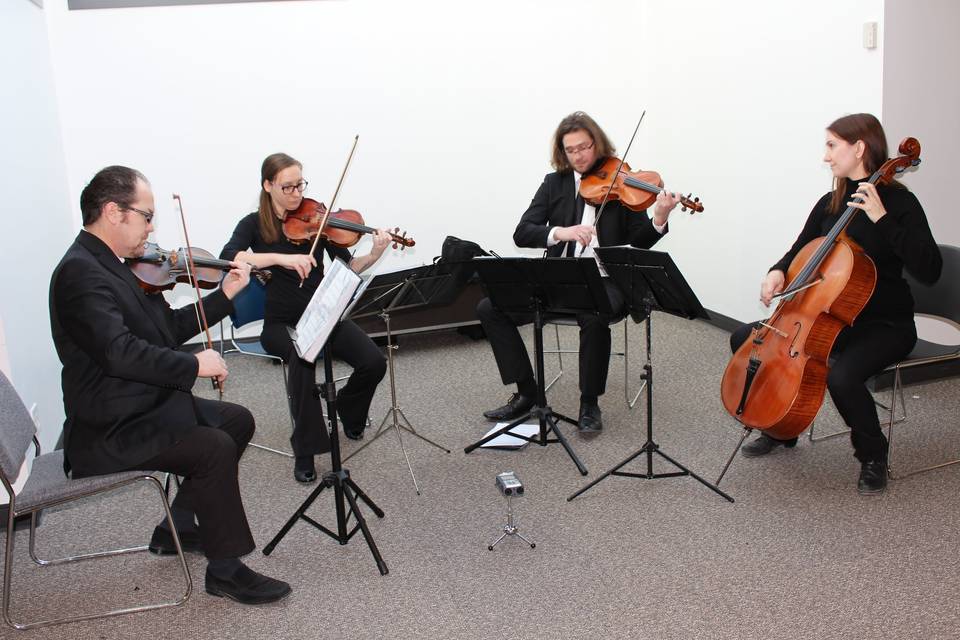 GTA STRINGS - String Quartet