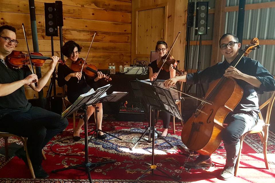 GTA STRINGS - String Quartet