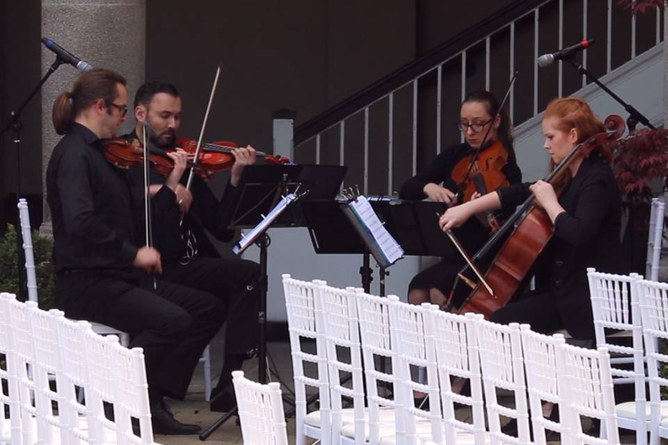 GTA STRINGS - String Quartet