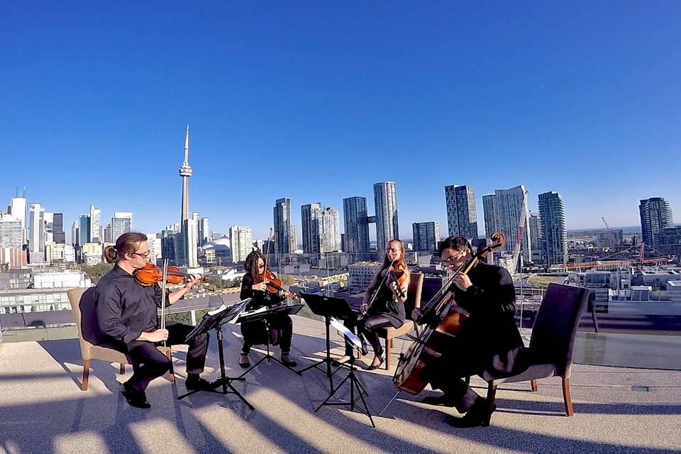 GTA STRINGS - String Quartet