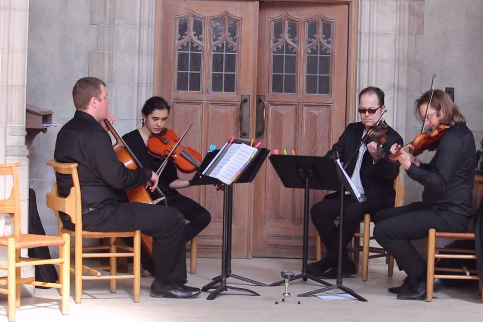 GTA STRINGS - String Quartet